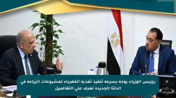 رئيس الوزراء يوجه بسرعة تنفيذ تغذية الكهرباء لمشروعات الزراعة في الدلتا الجديدة تعرف على التفاصيل
